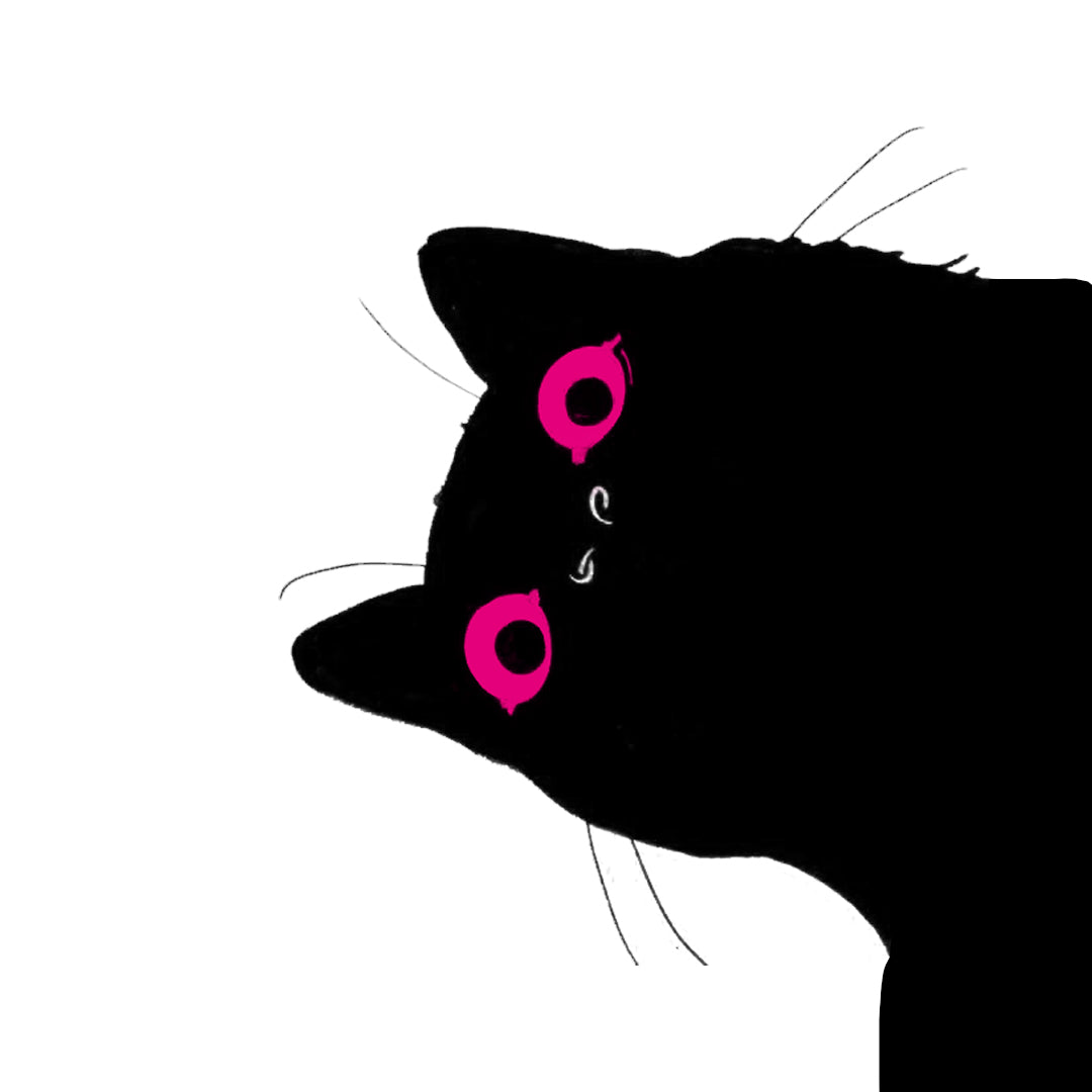 🐈‍⬛ The Cat Behind Close Enough